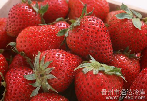 供应水果3