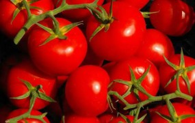 海参礼盒 精品礼盒 虾米 紫菜 腌制品批发招商